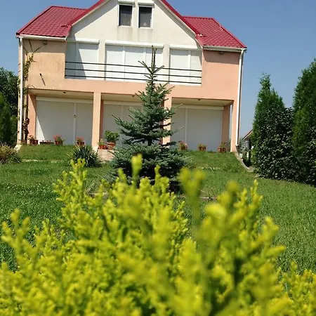 ヴィラ Grand Residenz Mamaia ナボダリ